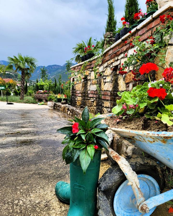 Guesthouse Lord Byron Tepelene المظهر الخارجي الصورة