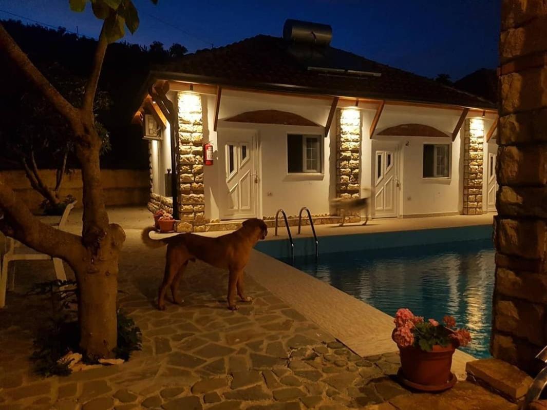 Guesthouse Lord Byron Tepelene المظهر الخارجي الصورة