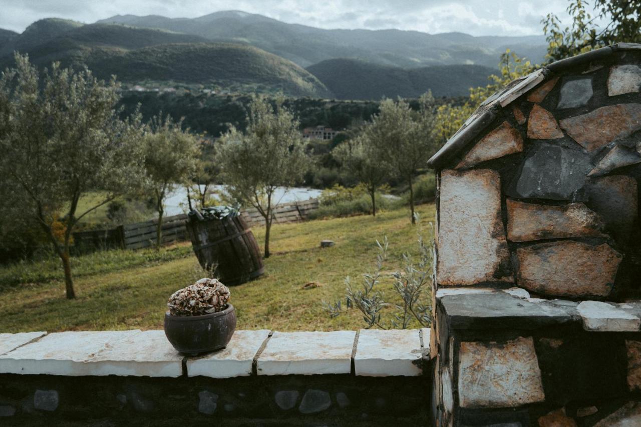 Guesthouse Lord Byron Tepelene المظهر الخارجي الصورة